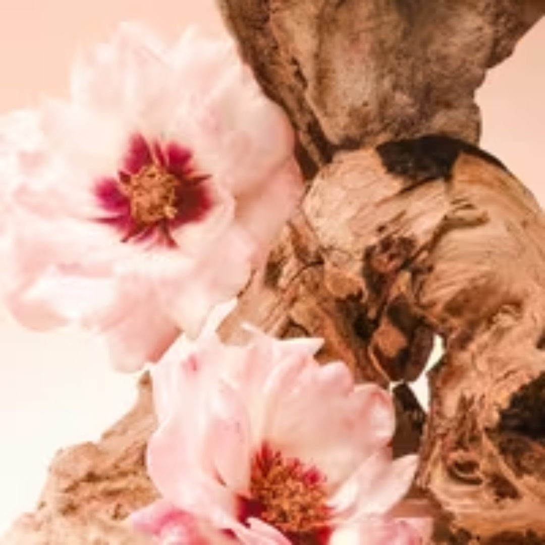 Saltair Santal Bloom Multi-Lipid Body Butter