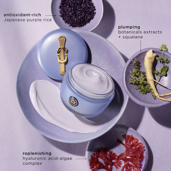 TATCHA The Dewy Skin Cream