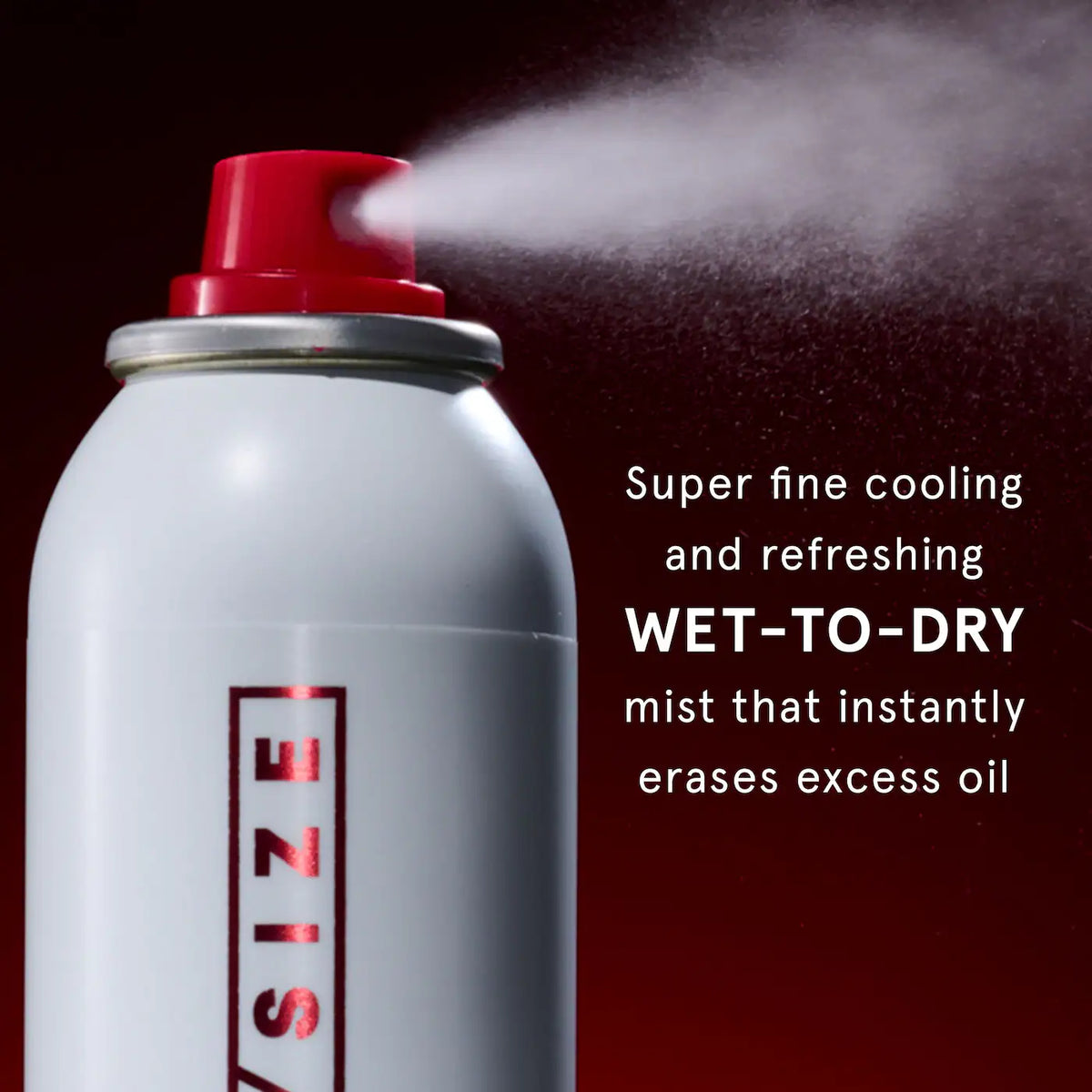 ONE/SIZE Oil Sucker Liquid Blotting Paper Touch Up Spray